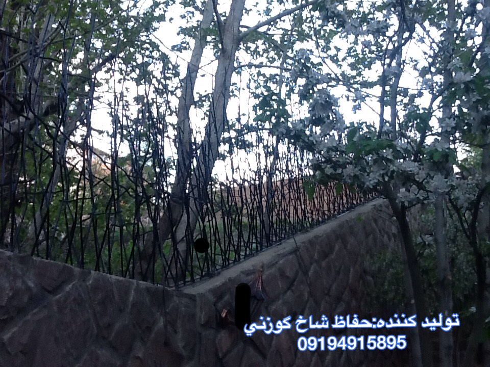 صفحه اصلی 10 - صفحه اصلی