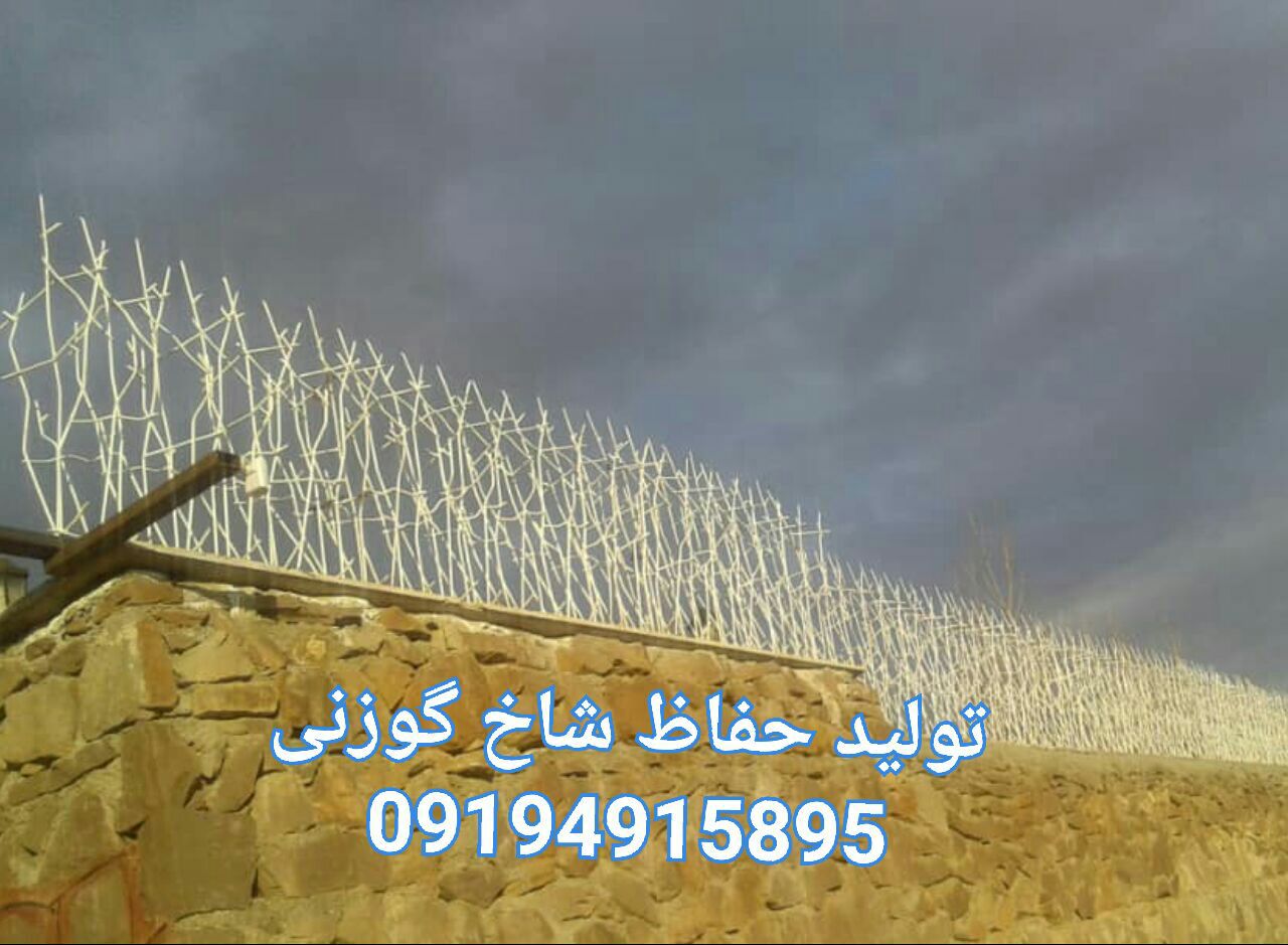 صفحه اصلی 14 - صفحه اصلی