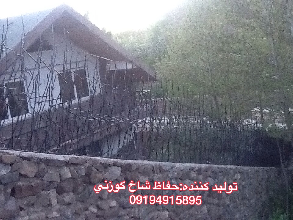 صفحه اصلی 17 - صفحه اصلی