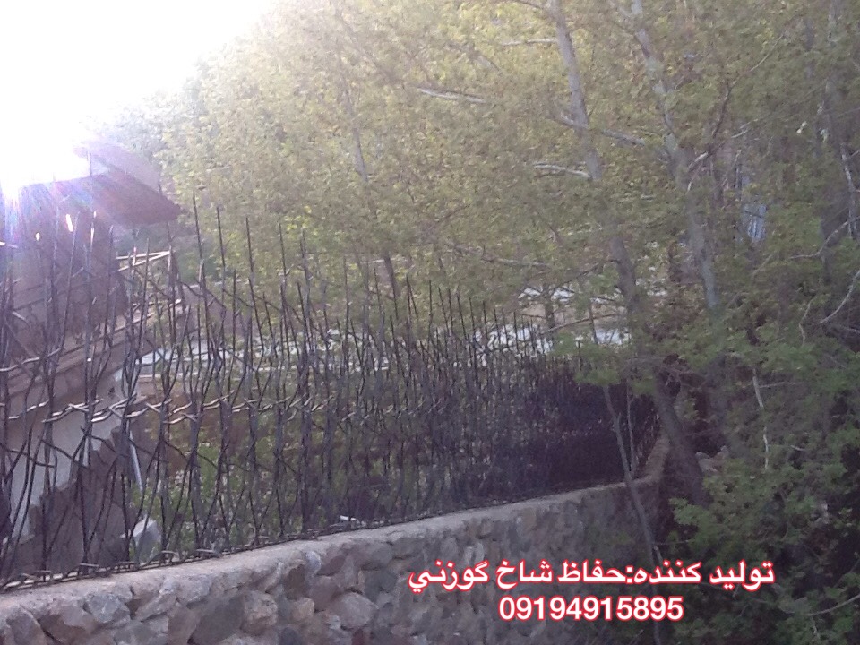 صفحه اصلی 18 - صفحه اصلی