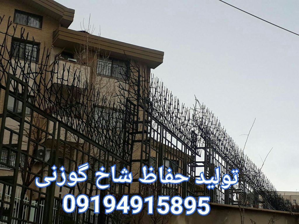 صفحه اصلی 39 - صفحه اصلی