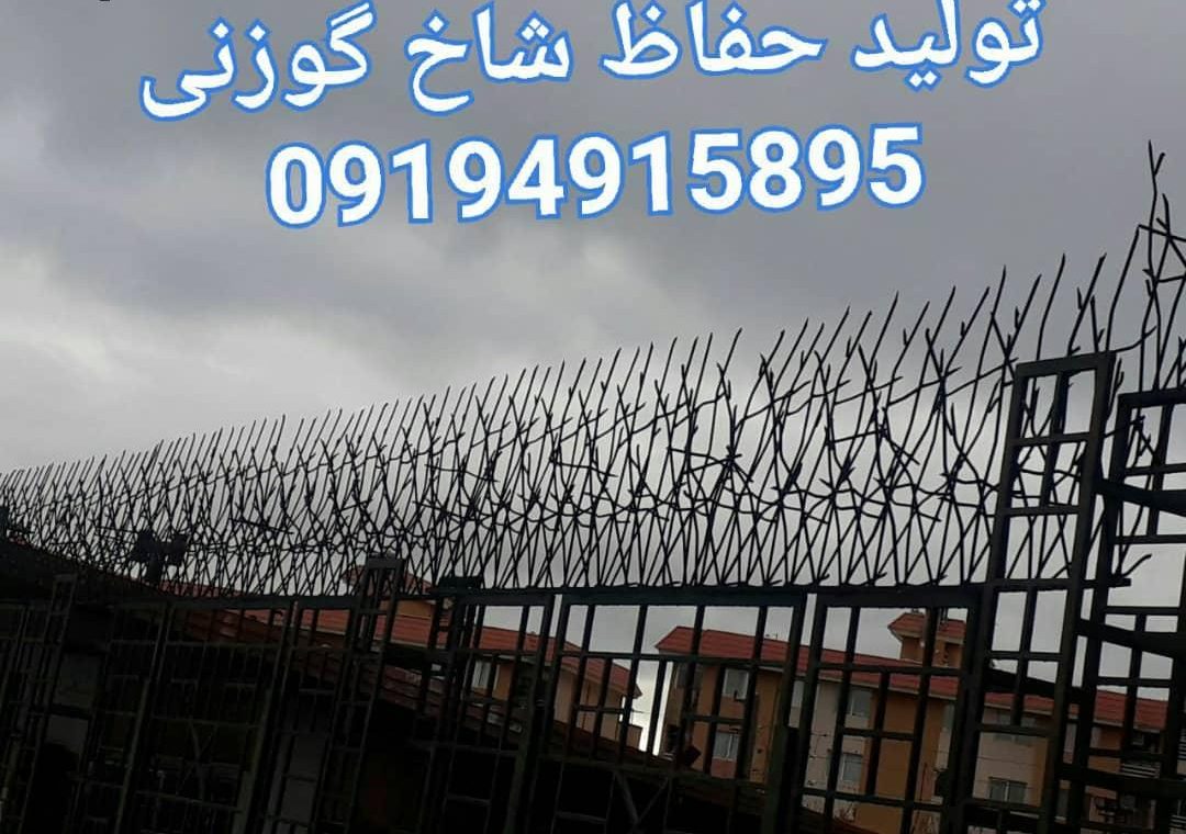 صفحه اصلی 35 e1746593272986 - صفحه اصلی