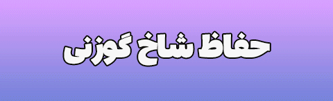 صفحه اصلی گوزنی3 اصلاحیه - صفحه اصلی