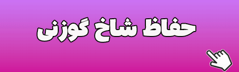 صفحه اصلی گوزنی5 اصلاحیه - صفحه اصلی