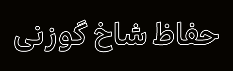 صفحه اصلی گوزنی8 - صفحه اصلی
