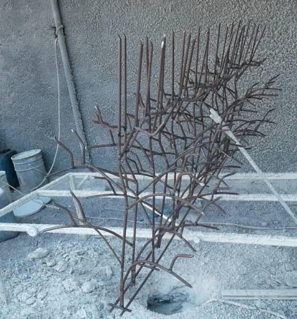 حفاظ شاخ گوزنی