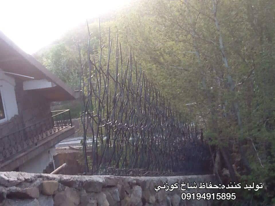 حفاظ شاخ گوزنی