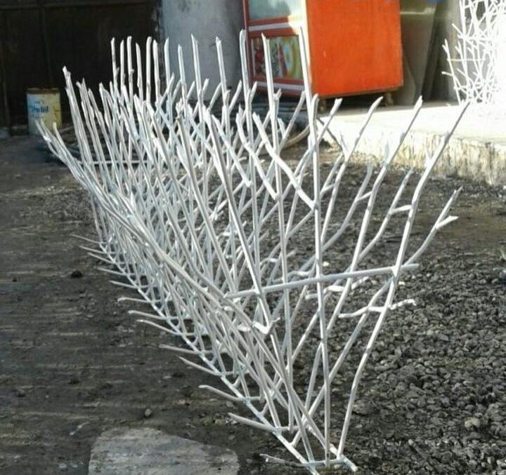 حفاظ شاخ گوزنی
