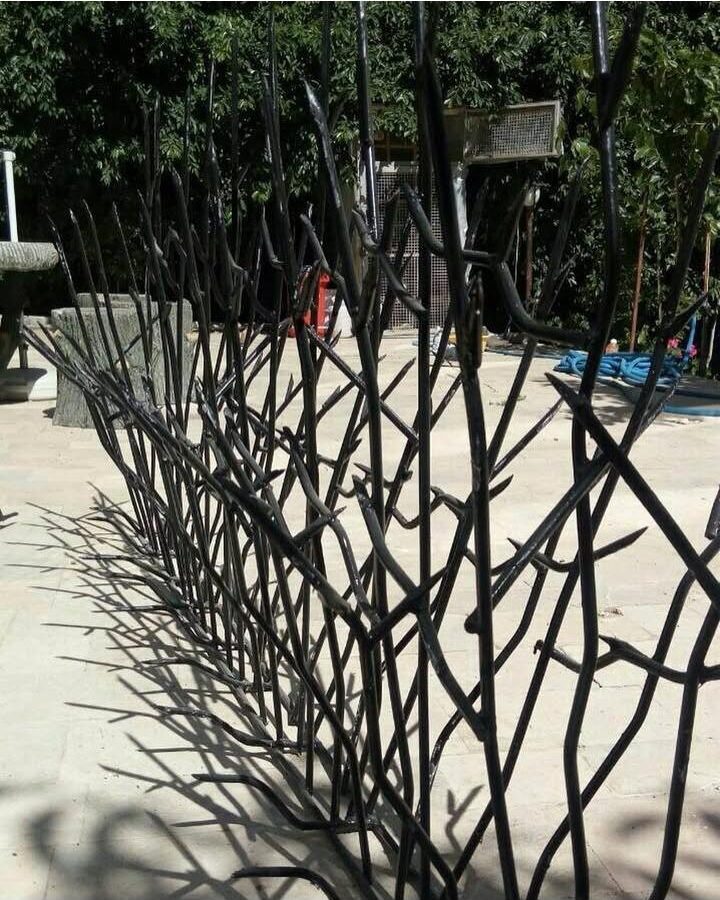 حفاظ شاخ گوزنی