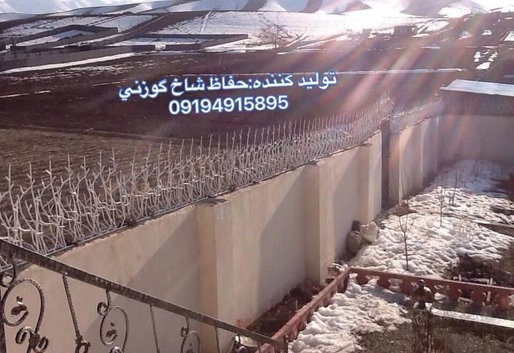 حفاظ شاخ گوزنی