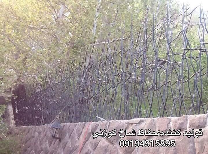 حفاظ شاخ گوزنی