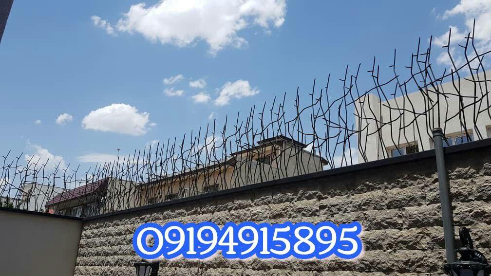 صفحه اصلی IMG 20260606 125726 022 - صفحه اصلی